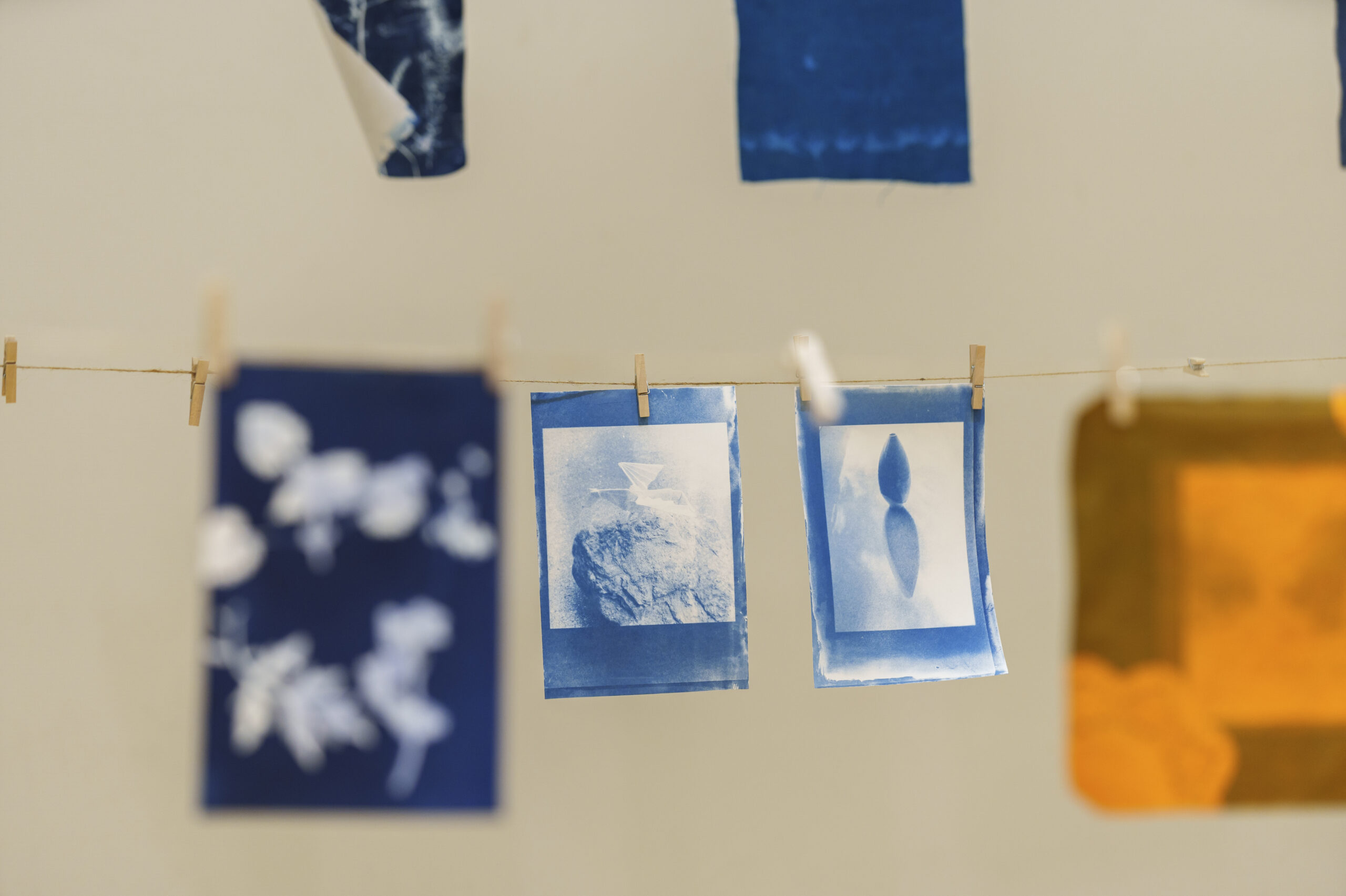 Cyanotype workshop at MIMOCA Museum – 2/12/2024